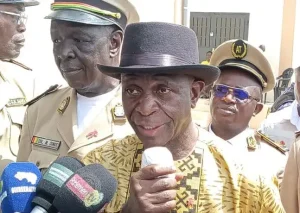 Mosaique Guin&eacute;e