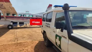 Mosa&iuml;que Guin&eacute;e