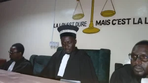 VISION GUIN&Eacute;E